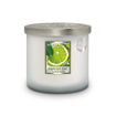 Picture of H&H TWIN WICK SCENTED CANDLE - LIME SPLASH